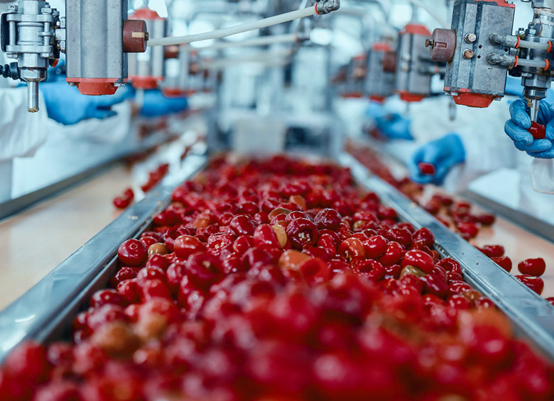 Small red peppers are moving along a food production line